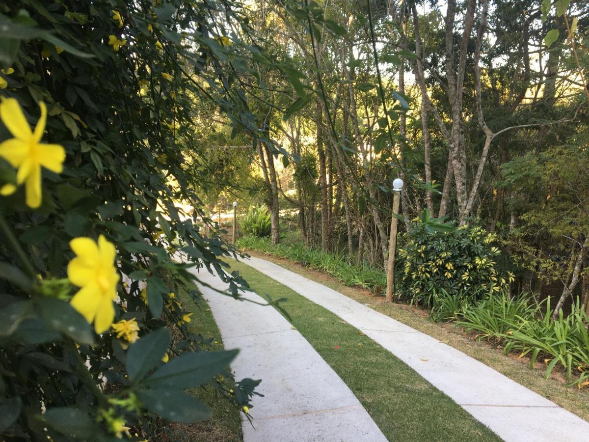 Homestay Quinta Ramalhete Santo Antonio do Pinhal